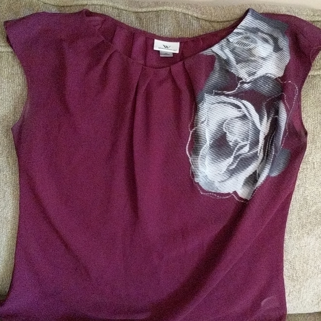 Sheer Shell Top